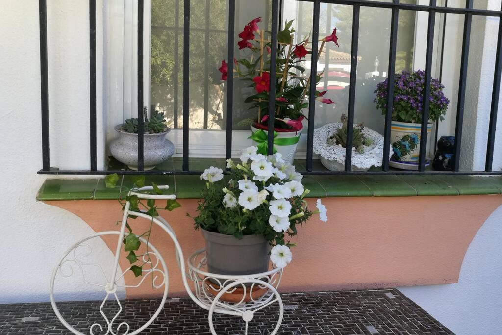 치클라나 데 라 프론테라 Casa Con Piscina Privada Y Jardin 빌라 외부 사진