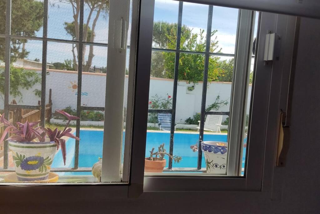 치클라나 데 라 프론테라 Casa Con Piscina Privada Y Jardin 빌라 외부 사진