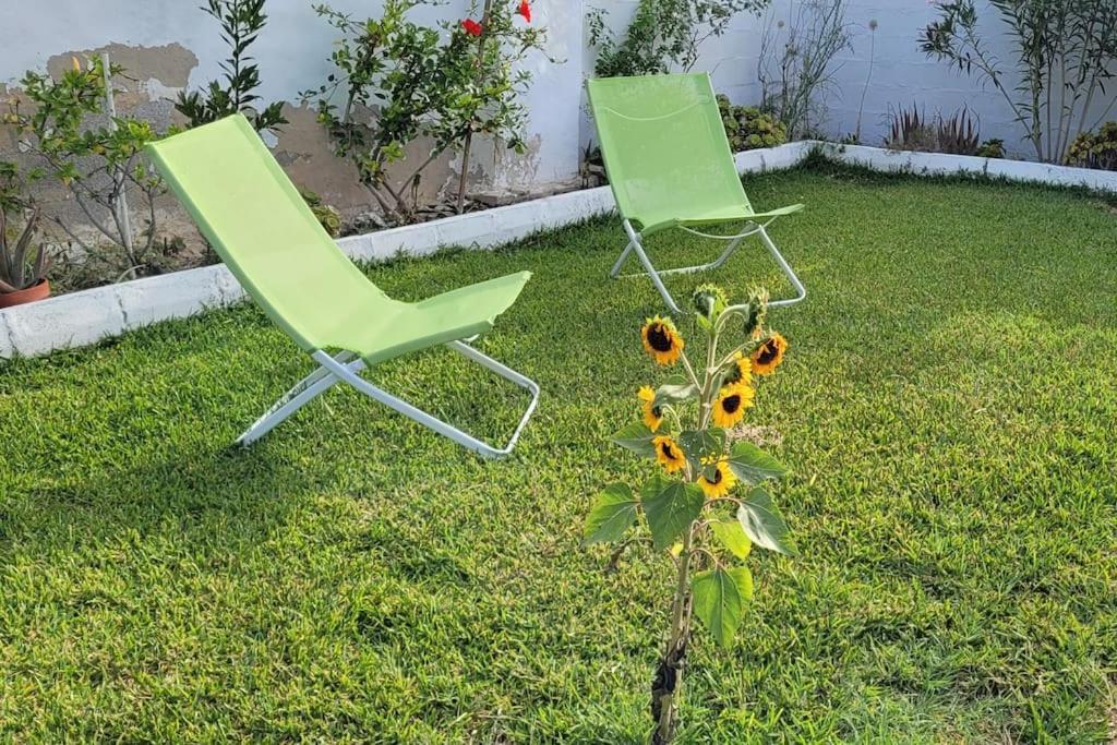 치클라나 데 라 프론테라 Casa Con Piscina Privada Y Jardin 빌라 외부 사진